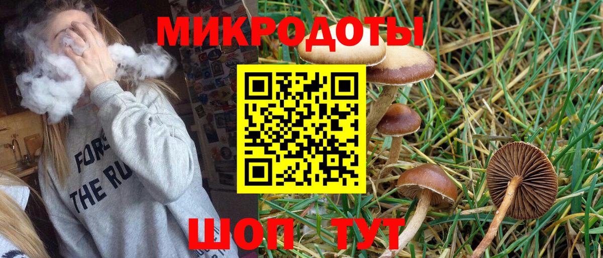 Белая Калитва  Псилоцибиновые грибы Psilocybine cubensis  цена наркотик  Вход с VPN  Галлюциногенные грибы Psilocybe 